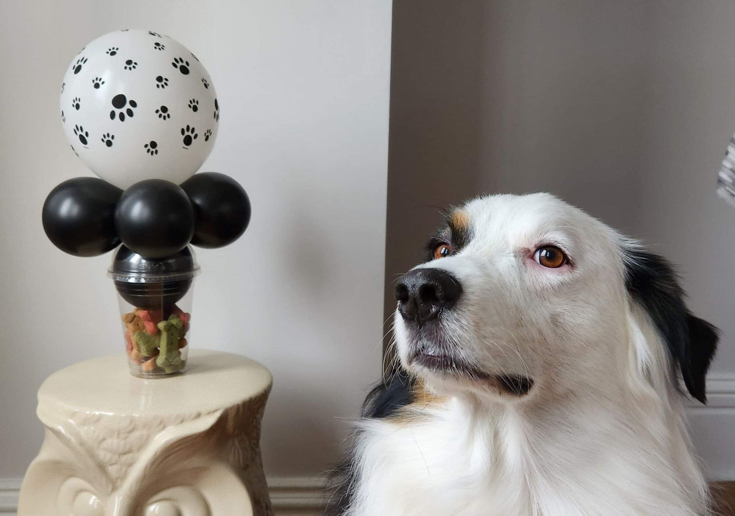 Dog Pawprints Balloon Candy Cup