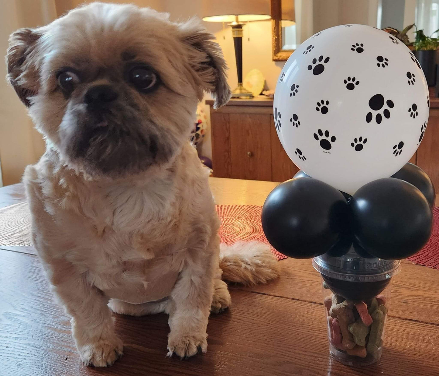 Dog Pawprints Balloon Candy Cup